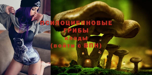 бошки Беломорск