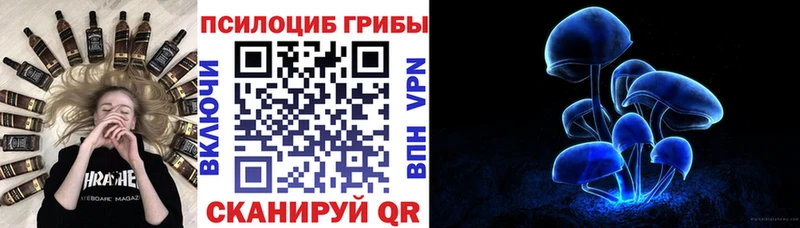hydra рабочий сайт  Рудня  Псилоцибиновые грибы мухоморы 